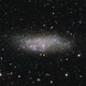 La galaxia Wolf-Lundmark-Melotte vista por el telescopio VLT.